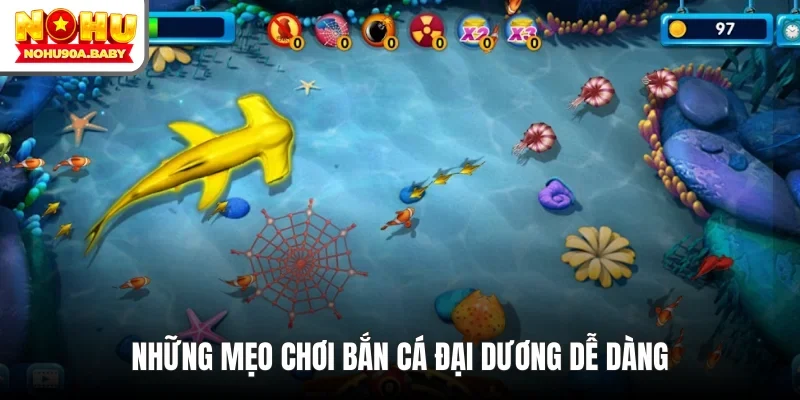 Nhiều người mới thường mắc sai lầm chỉ nhắm vào cá lớn mà bỏ qua cá nhỏ